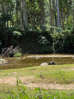 Филиппины. Март 2026