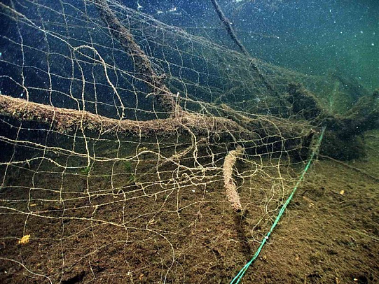 День очистки водоёмов. Июнь 2009