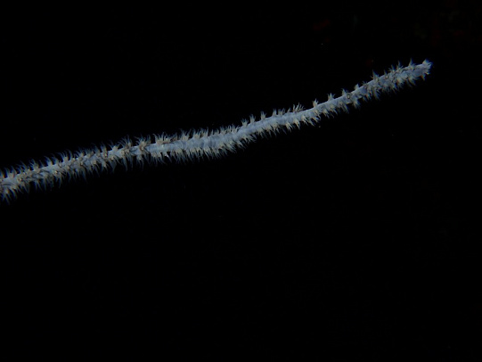 Филиппины. Октябрь 2025