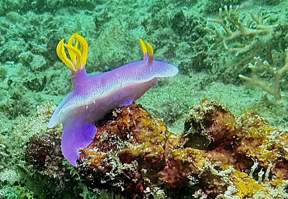 Филиппины. Март 2026