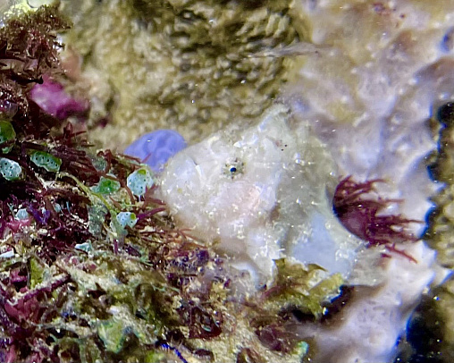 Филиппины. Март 2026