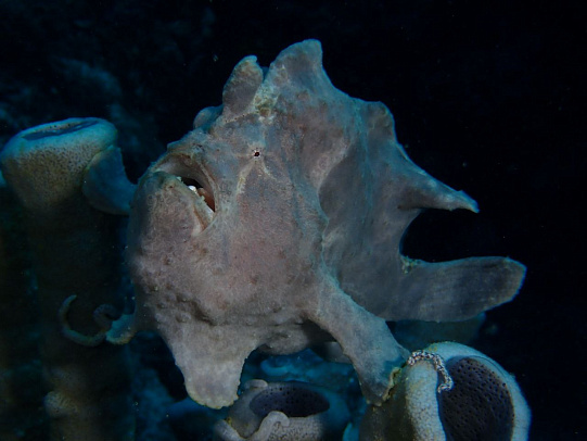 Филиппины. Октябрь 2025