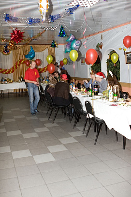 Новый год - 2008г