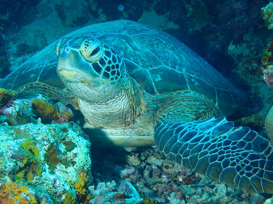 Филиппины. Октябрь 2025