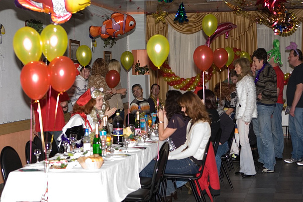 Новый год - 2008г