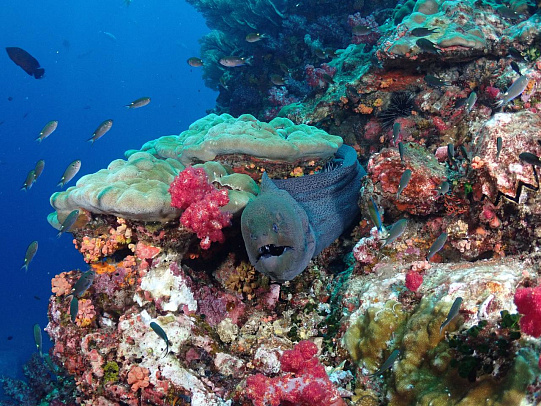 Тайланд. Февраль 2026