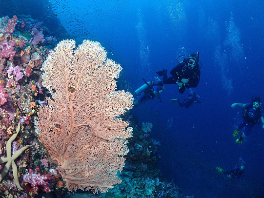 Тайланд. Февраль 2026