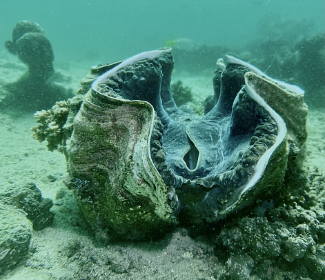 Филиппины. Март 2026