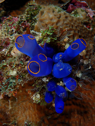 Филиппины. Октябрь 2025