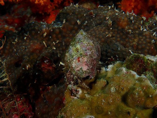 Филиппины. Октябрь 2025