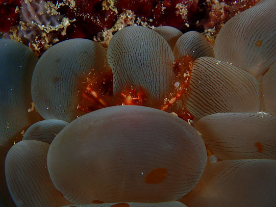 Филиппины. Октябрь 2025