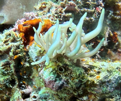 Филиппины. Март 2026