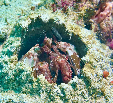 Филиппины. Март 2026