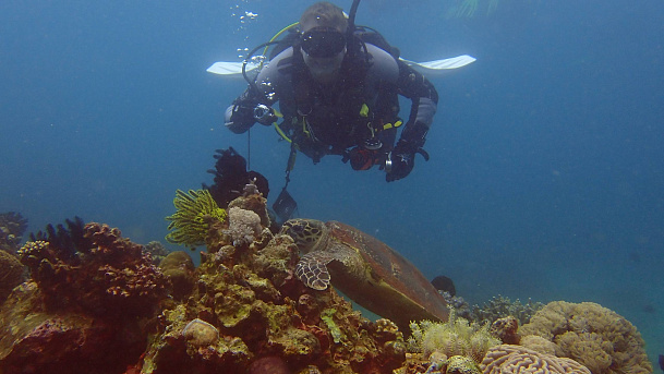 Филиппины. Март 2026