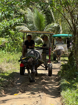 Филиппины. Март 2026