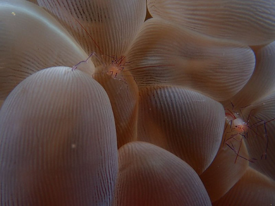 Филиппины. Октябрь 2025