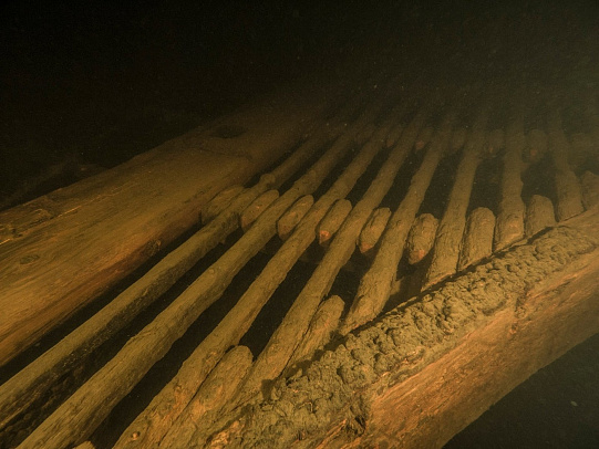 Ладожское озеро. Июль 2021 Сафари