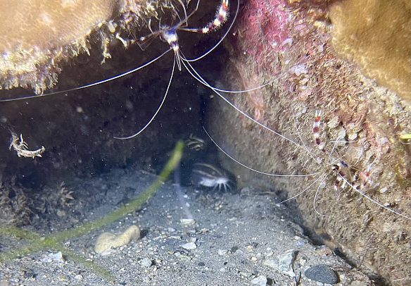 Филиппины. Март 2026