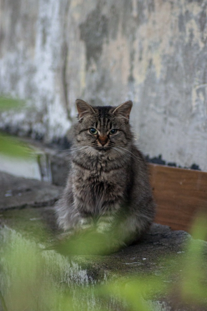 Поездка на Баренцево море. Сентябрь 2023 (16-23 сентября)