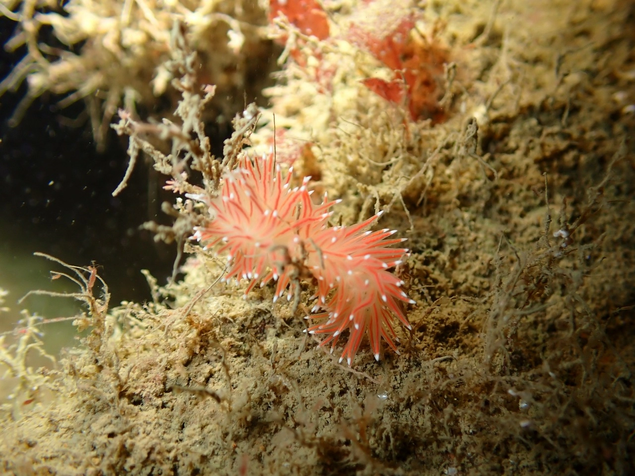 Поездка на Баренцево море. Сентябрь 2022