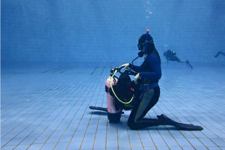 Divemaster_2.jpg Divemaster_2.jpg