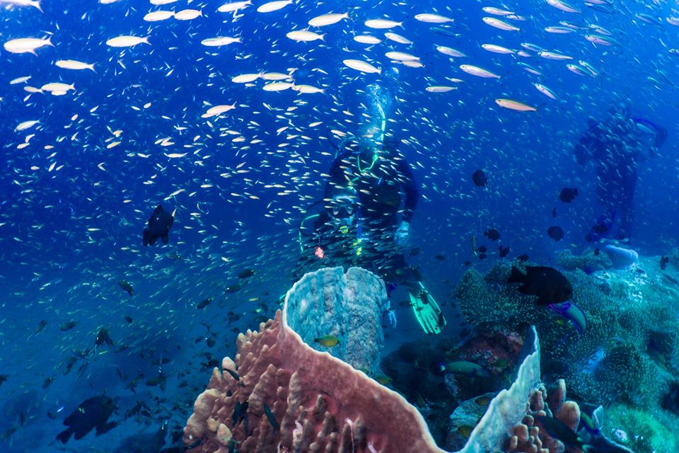 Поездка в Таиланд 2019. Краби
