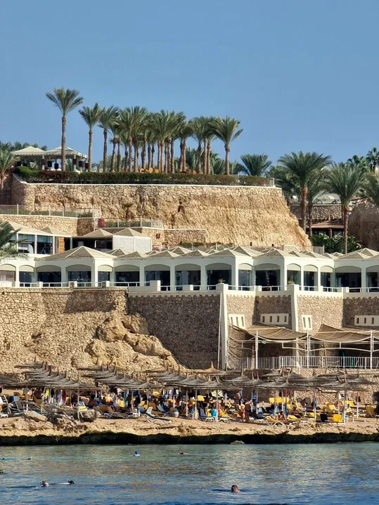 Поездка в Египет. Ноябрь 2023 Сафари