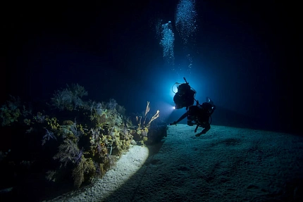 Курс PADI Night Diver (Ночные Погружения)